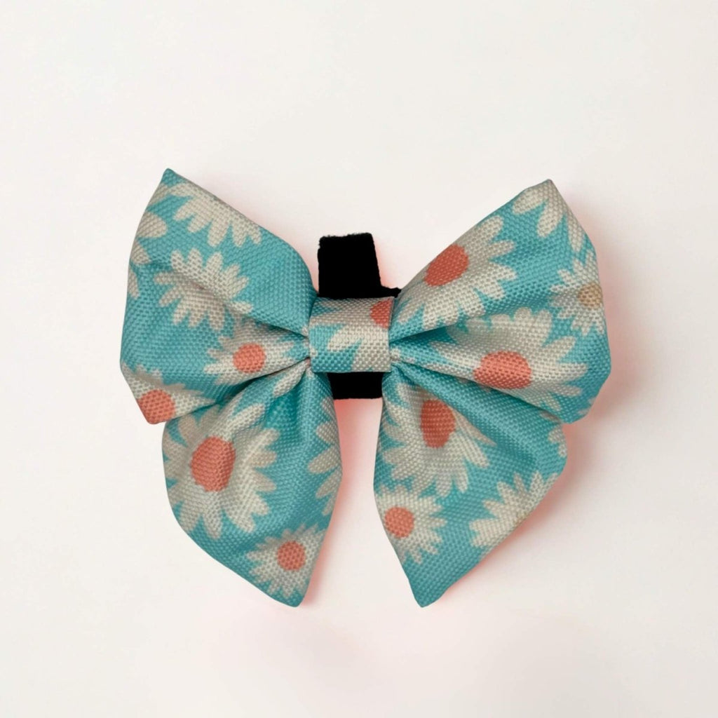 Pastel Daisy Dog Sailor Bow in aqua with white and peach daisies on white