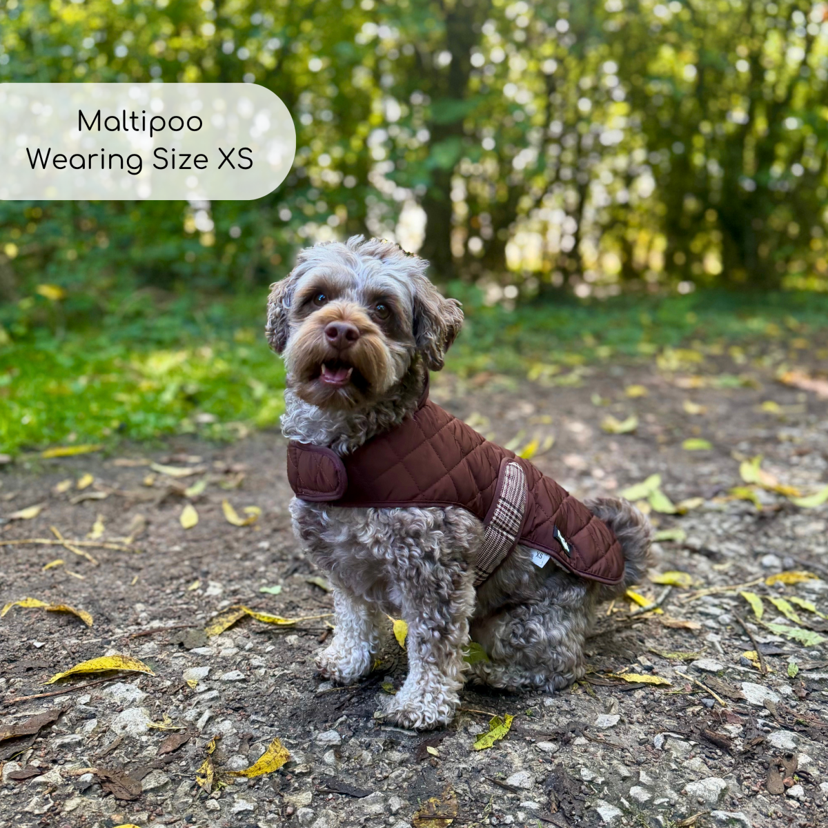 Foxbury Plaid Quilted Dog Coat – Teddy-Fleece Lined Winter Coat
