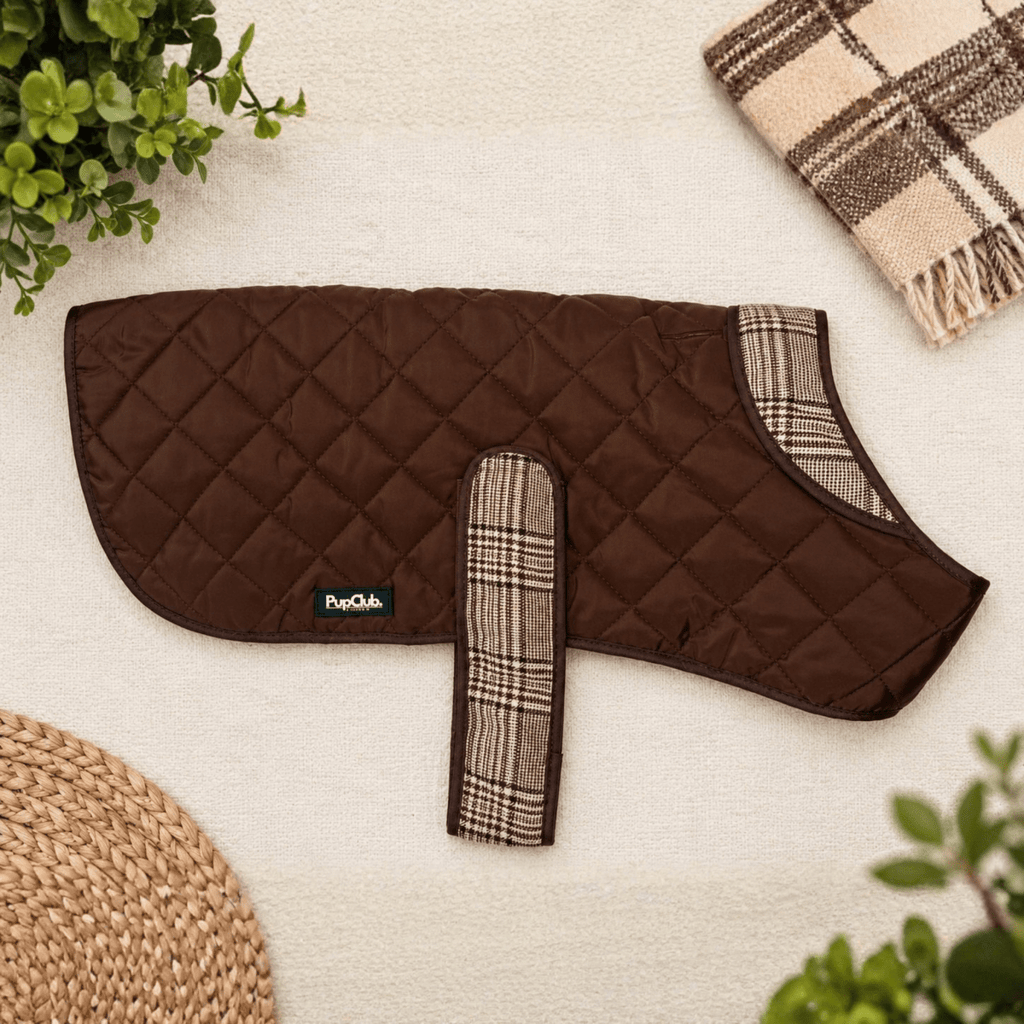 Foxbury Plaid Quilted Dog Coat flat-lay in chocolate brown with plaid collar and chest strap