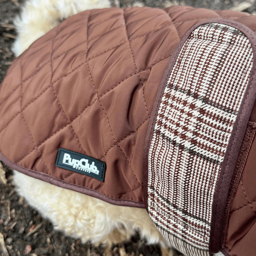 Close-up of the brown quilting and plaid chest strap on the Foxbury Plaid Quilted Dog Coat