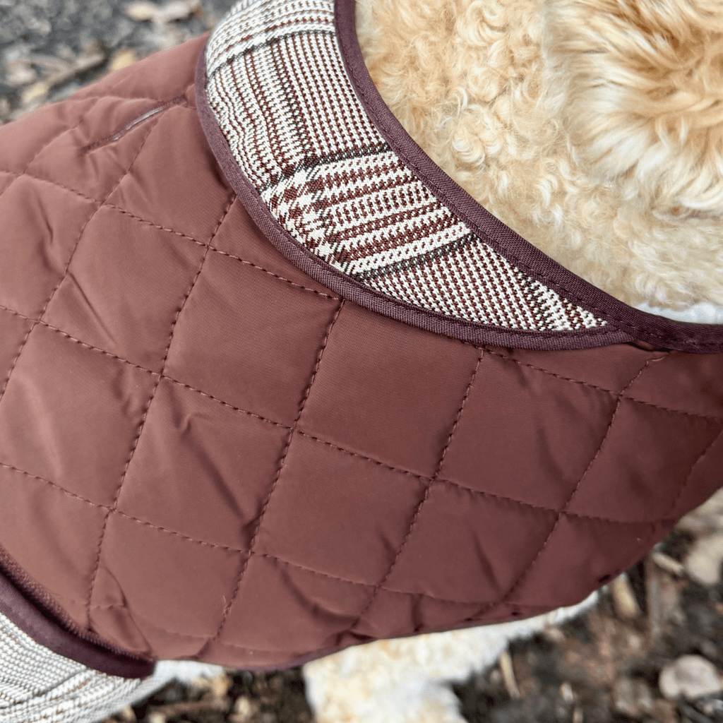 Close-up of the plaid collar on the Foxbury Plaid Quilted Dog Coat