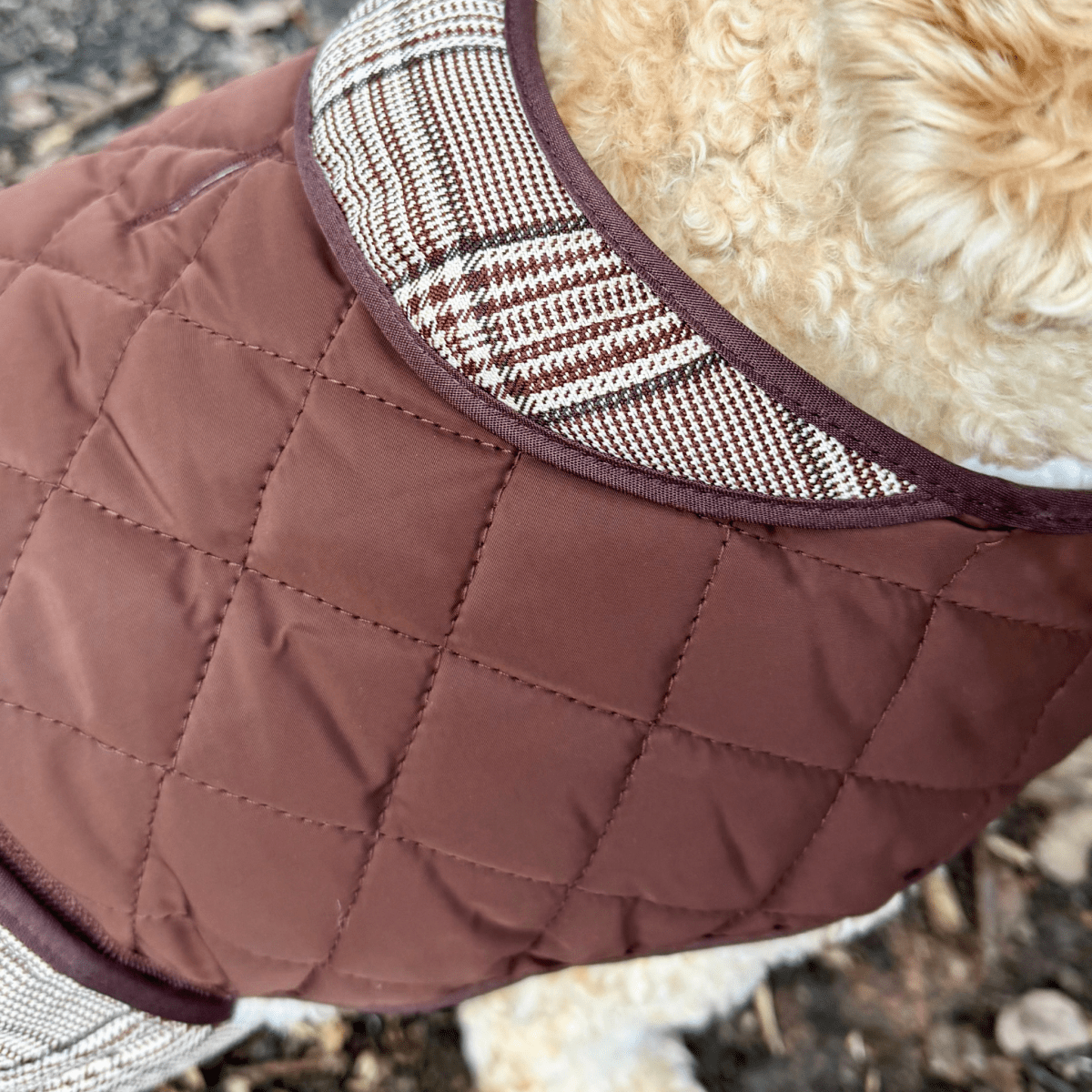 Close-up of the plaid collar on the Foxbury Plaid Quilted Dog Coat