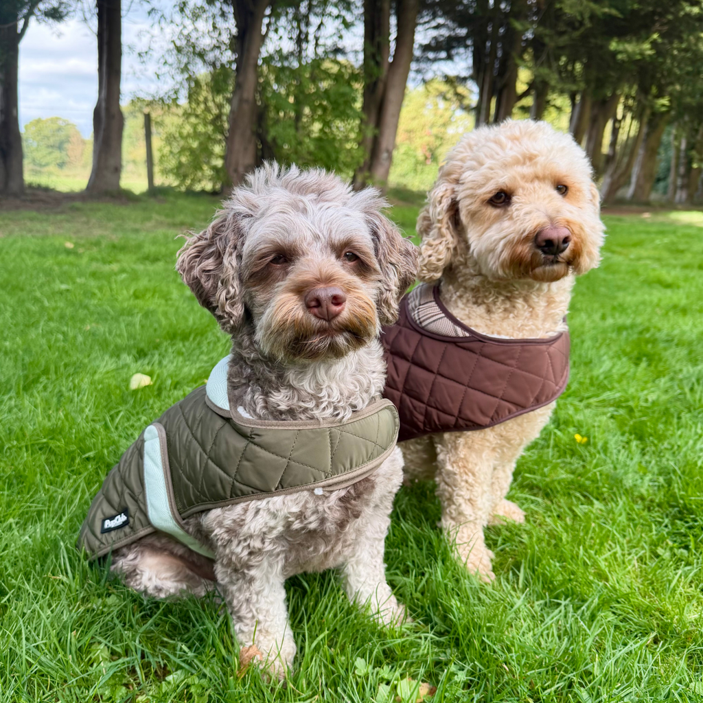 Foxbury Plaid Quilted Dog Coat – Teddy-Fleece Lined Winter Coat