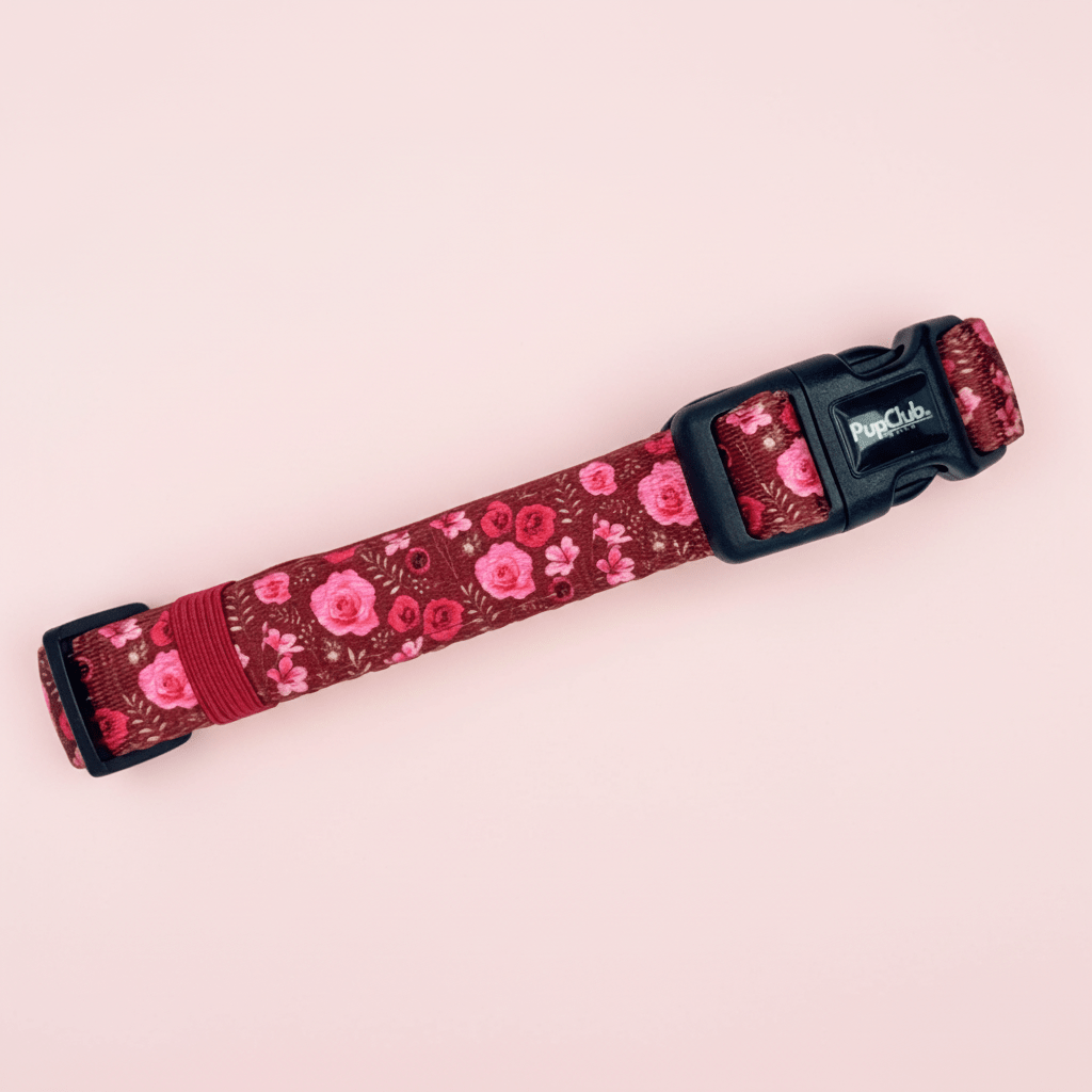 Burgundy Bloom floral dog collar showing black clip buckle and adjuster