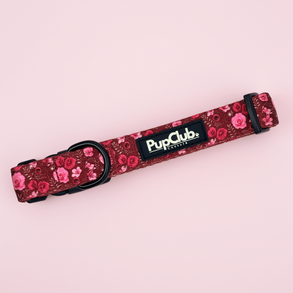 Burgundy Bloom Dog Collar with pink rose print and black D-ring on pink background
