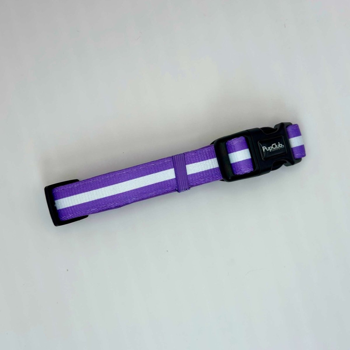 Lilac Blush Dog Collar on grey showing the buckle and PupClub label