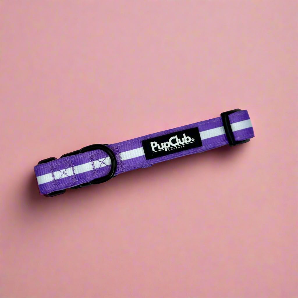 Lilac Blush Dog Collar on a pink background with white stripe and black buckle