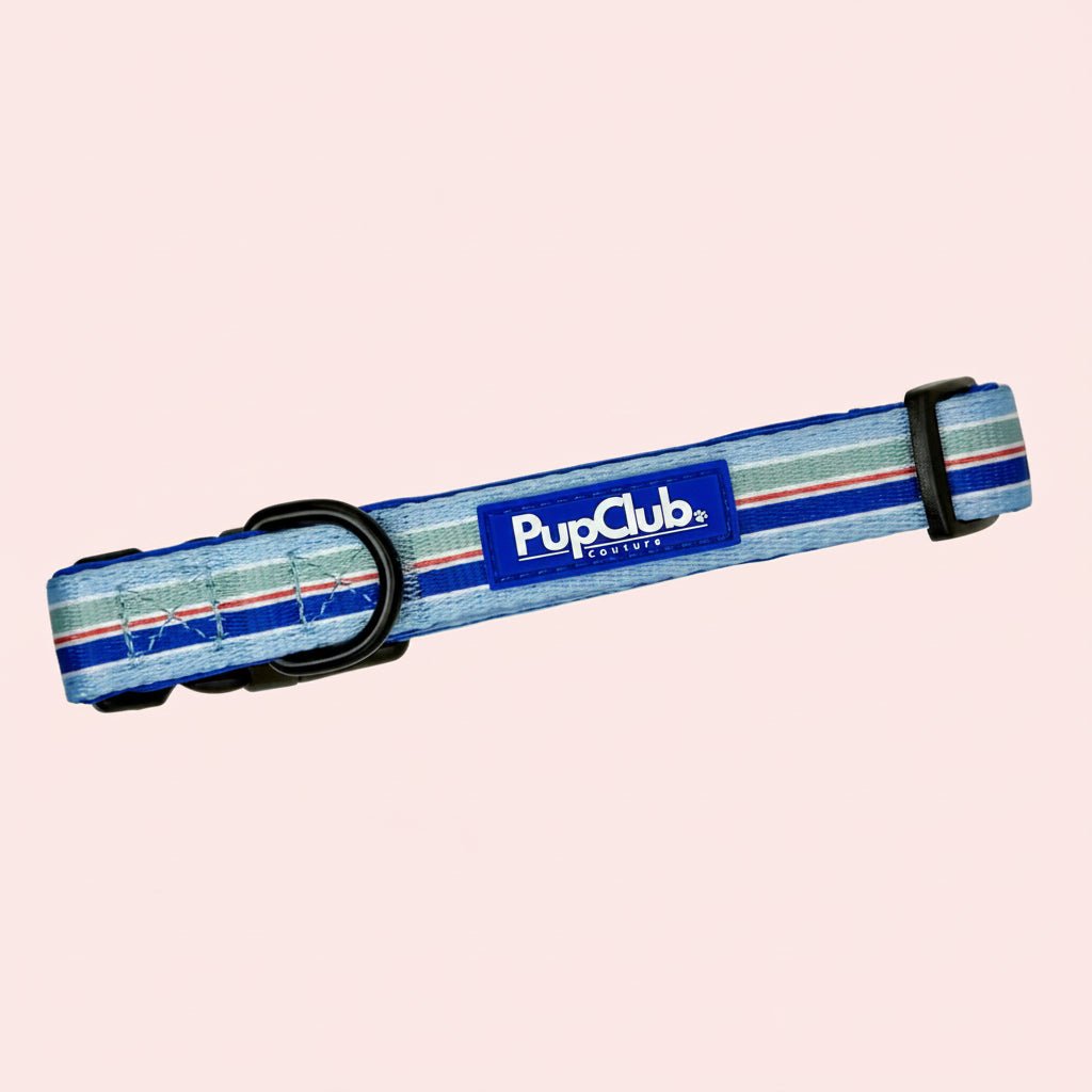 Front of the Sea Breeze Stripes Dog Collar with blue and green nautical stripes
