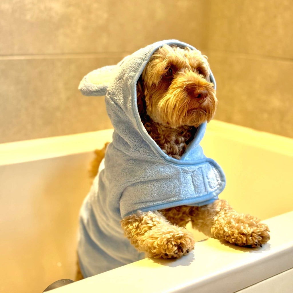 Cockapoo in a bath wearing the Blue Dog Drying Robe with its paws on the edge