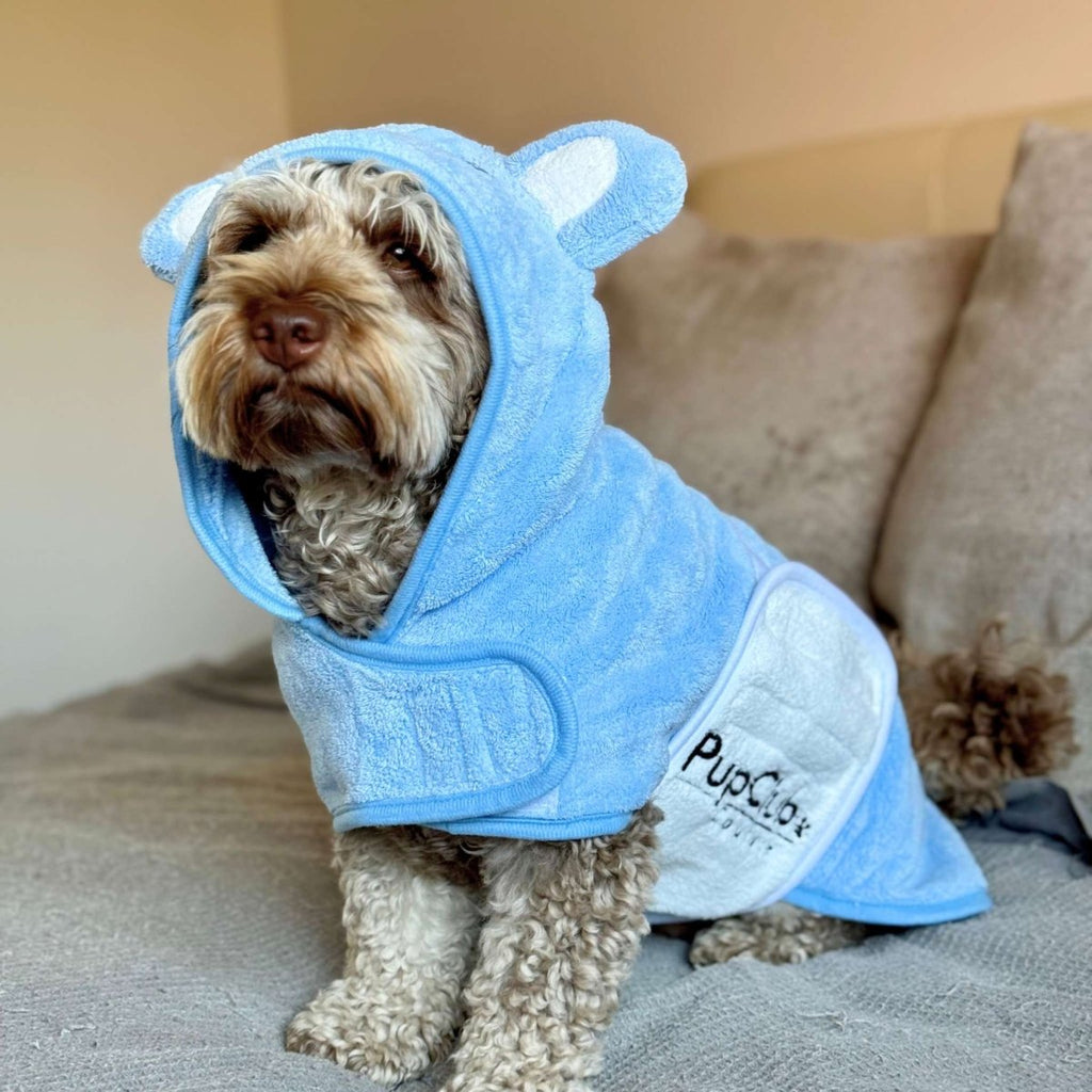 Cockapoo on a sofa wearing the Blue Dog Drying Robe with the bear-ear hood up