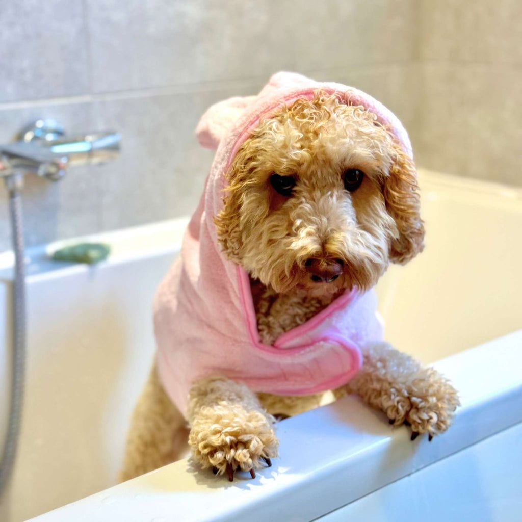 Cockapoo in the Pink Dog Drying Robe leaning over the side of a bath