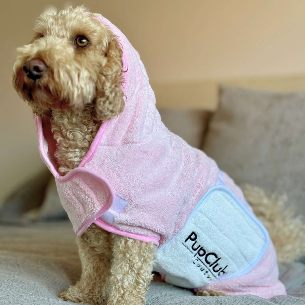 Apricot cockapoo wearing the Pink Dog Drying Robe on a grey sofa