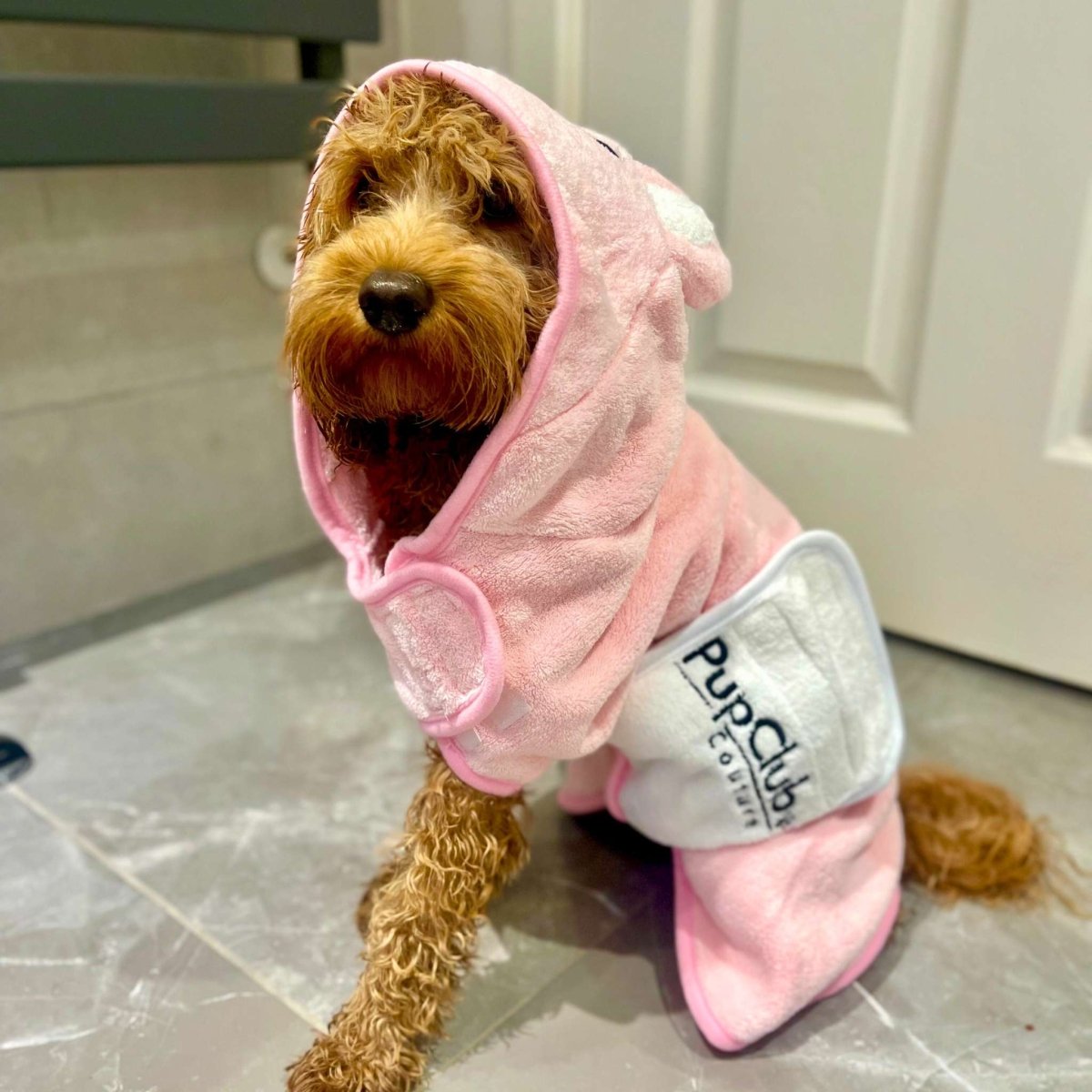 Cockapoo standing on a tiled floor wearing the Pink Dog Drying Robe after a bath