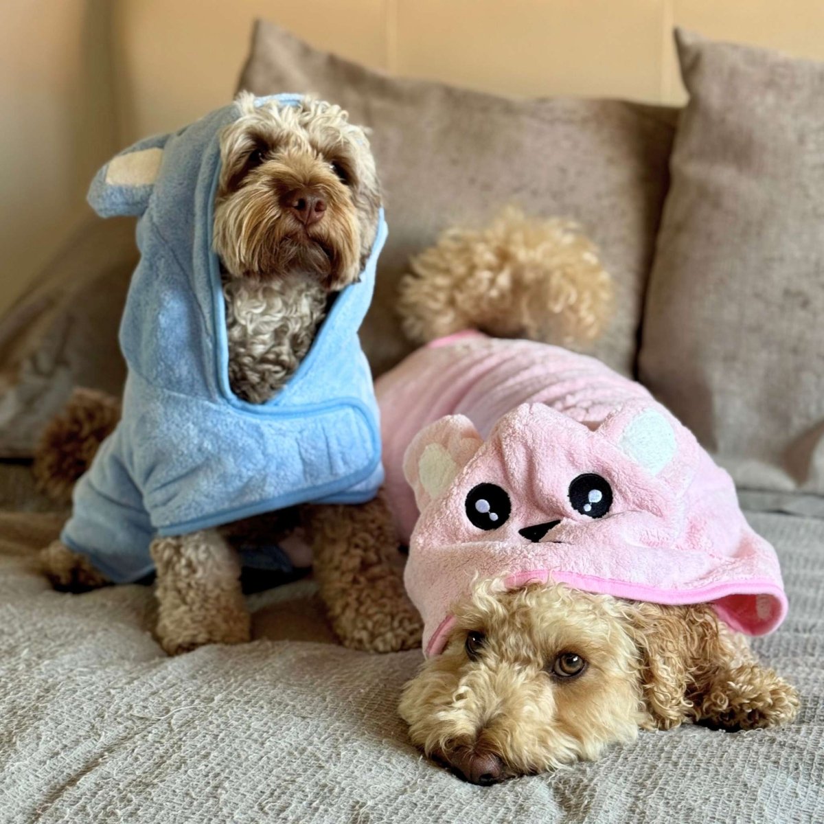 Two cockapoos on a sofa, one in a blue robe and one in the Pink Dog Drying Robe