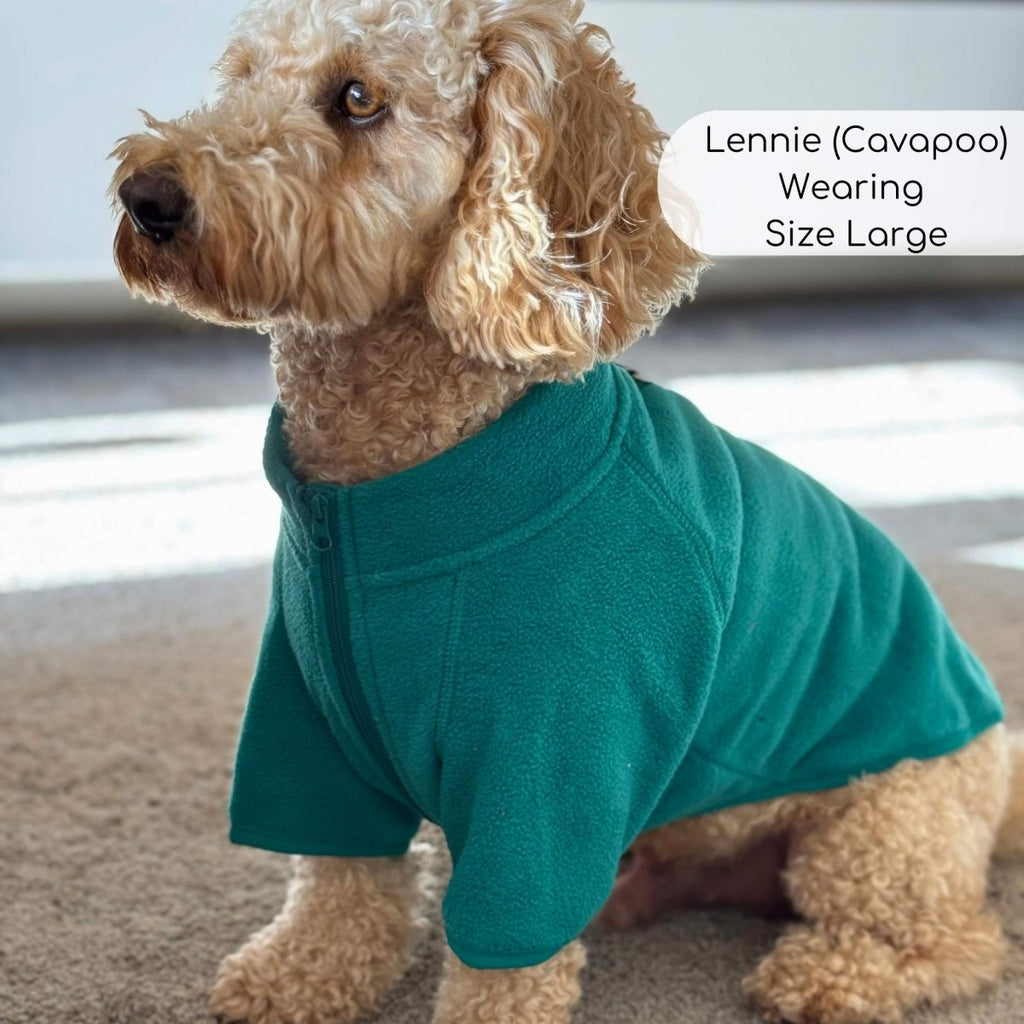 Cavapoo wearing the Green Dog Fleece Coat in size Large, side view