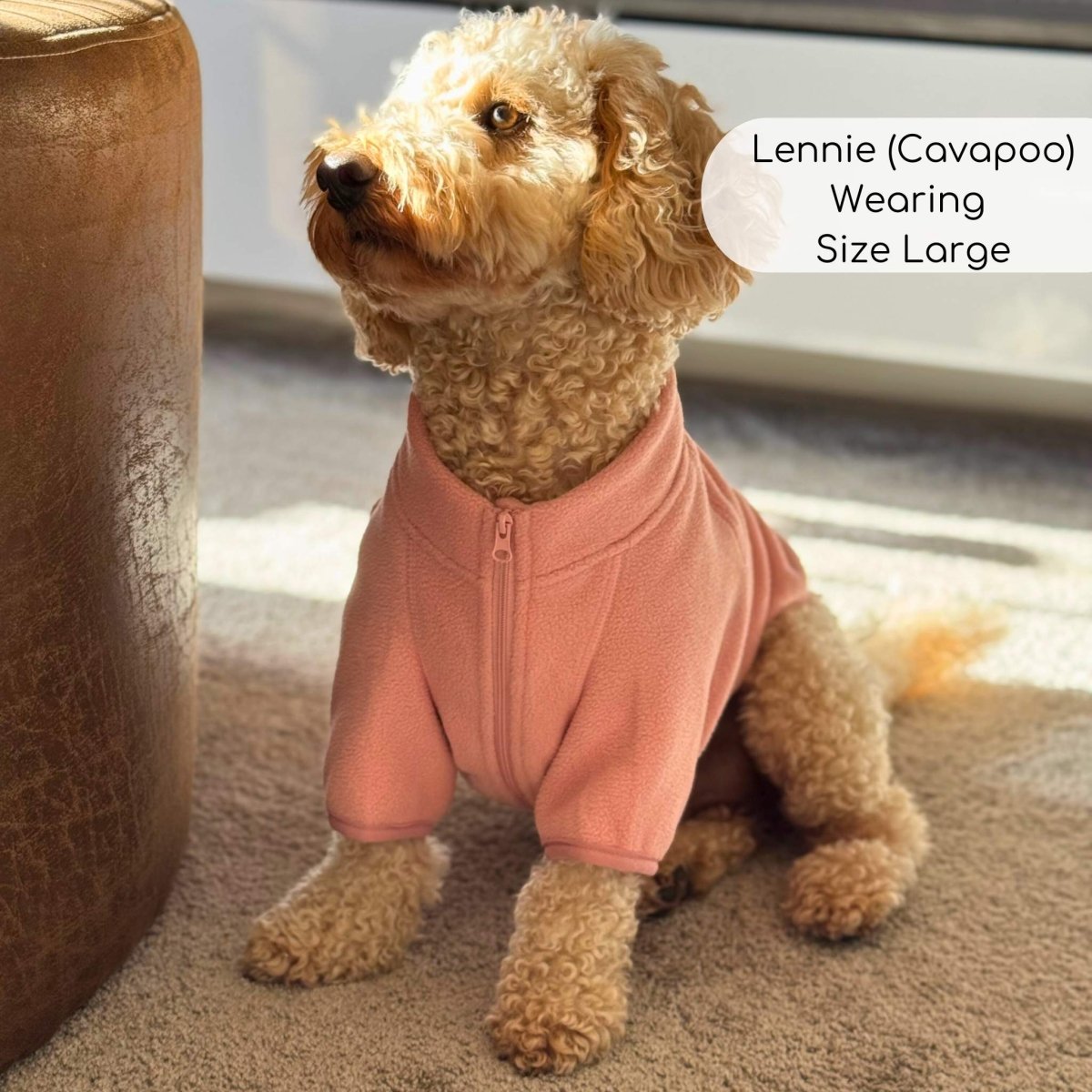 Cavapoo wearing the Pale Pink Dog Fleece Coat in size Large indoors