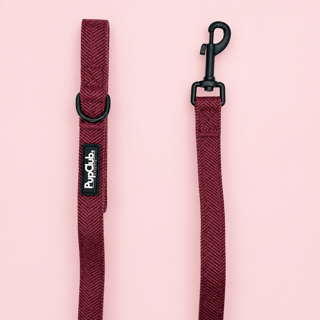 Berry Tweed Dog Lead in burgundy herringbone laid flat on pink with handle and black clip