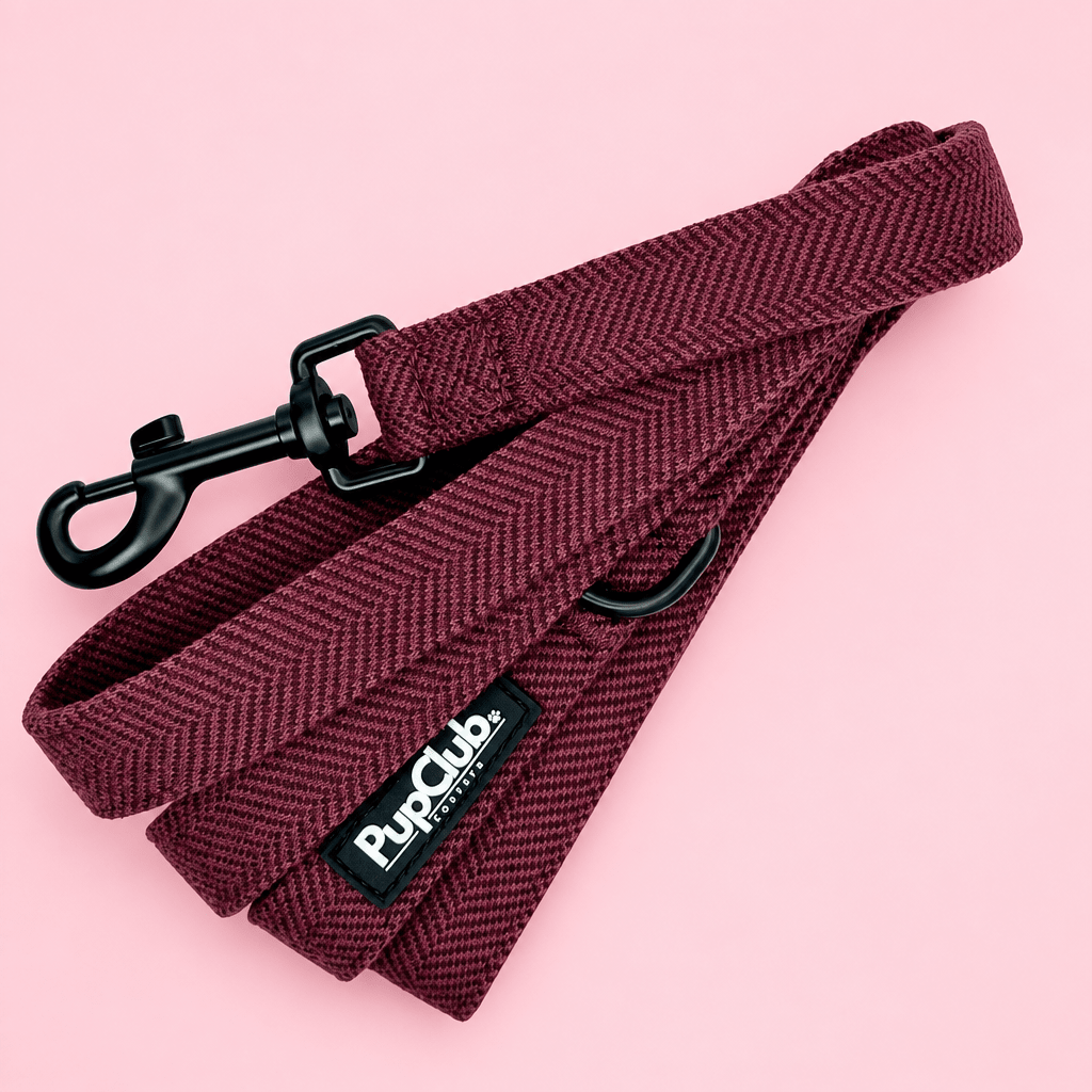 Berry Tweed Dog Lead coiled showing the PupClub label and swivel clip