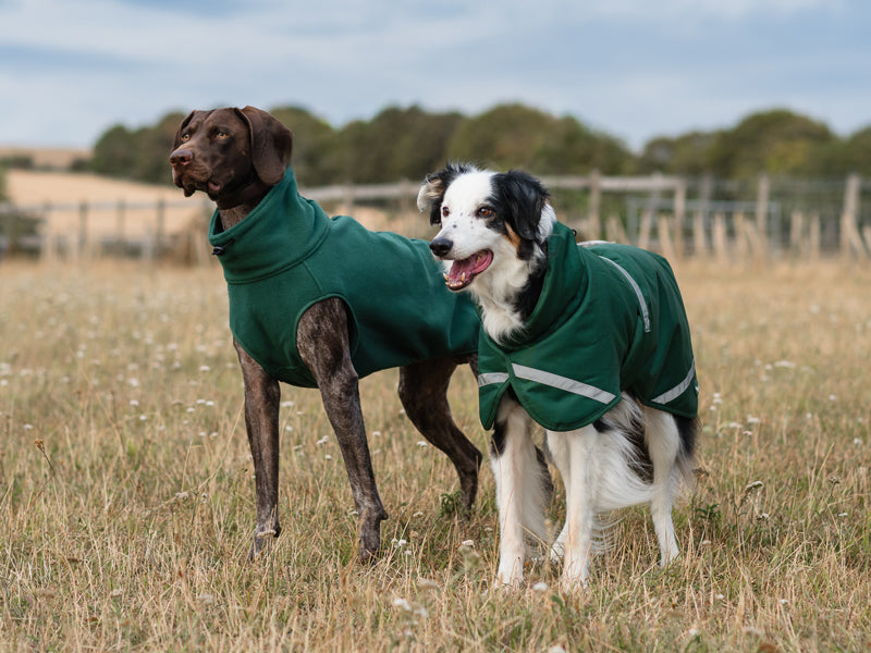 Luxe Waterproof Winter Dog Coat – Warm Padded Jacket, Hunter Green