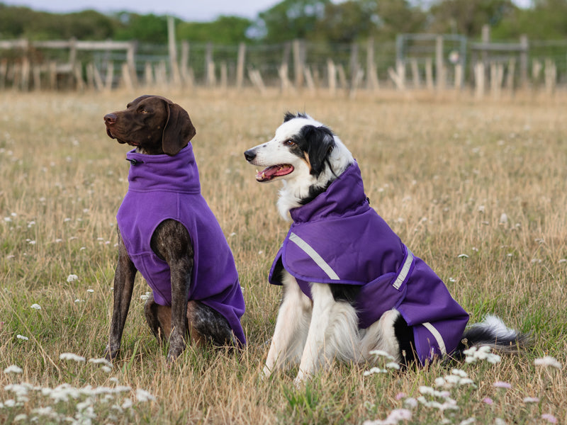Cozy Fleece Dog Coat with Harness Hole – Purple