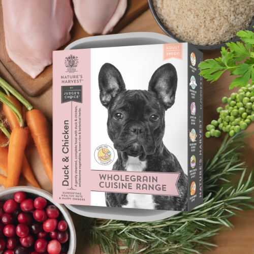 Nature's Harvest Duck, Chicken & Brown Rice wet dog food tray with French bulldog, duck, rice, carrots and cranberries