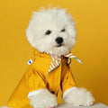 White bichon frise in a yellow hooded dog raincoat against a yellow backdrop