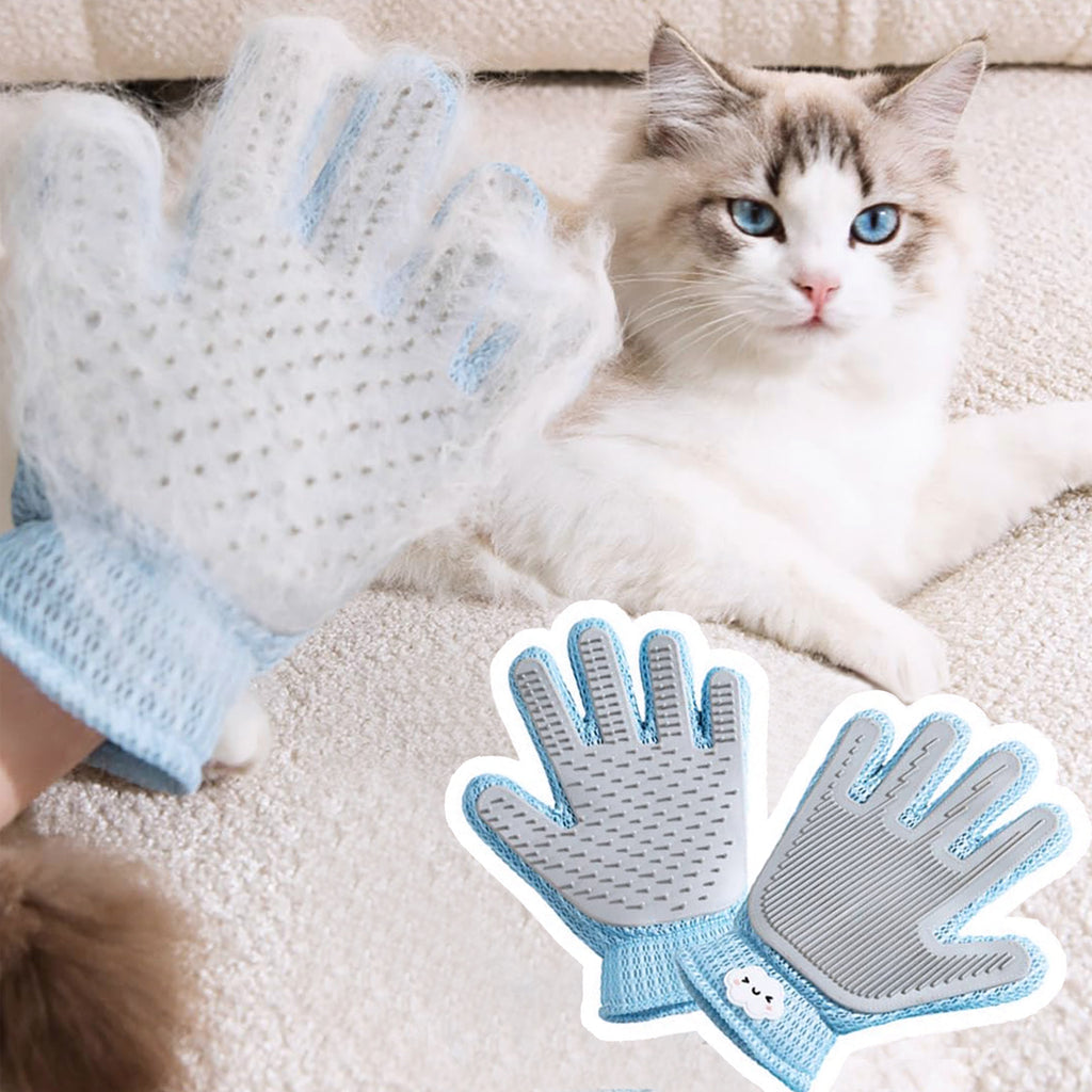 Hand in blue grooming glove covered in loose white fur beside a ragdoll cat on a sofa