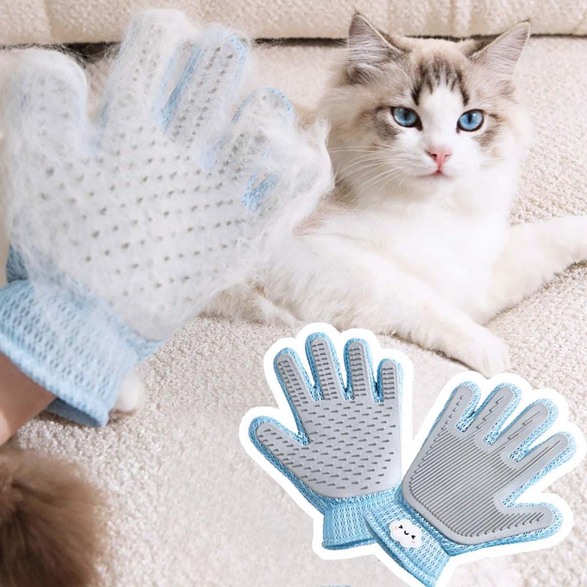 Hand in blue grooming glove covered in loose white fur beside a ragdoll cat on a sofa