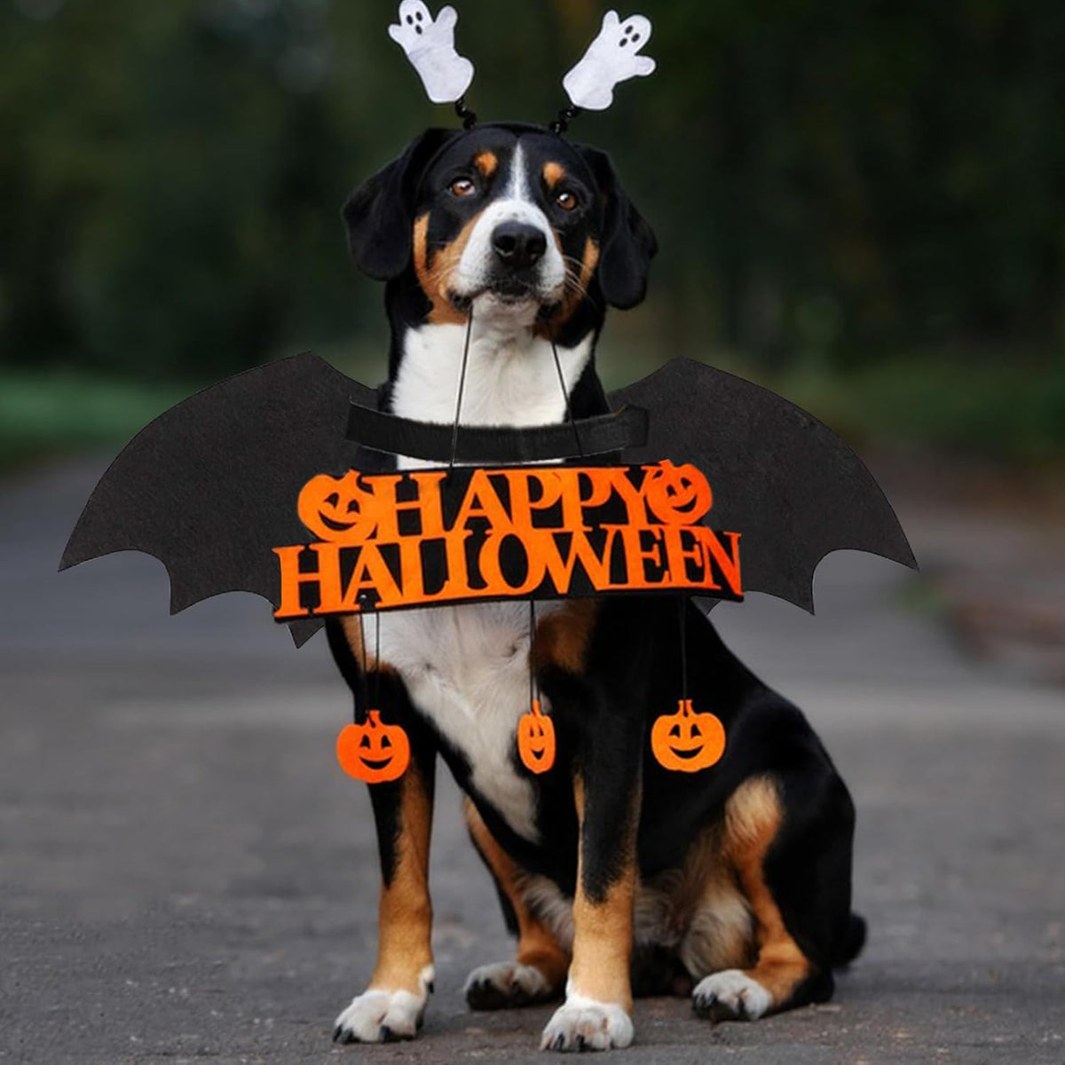Glow-in-the-Dark Skeleton Bat Wings for Dogs & Cats 🦇