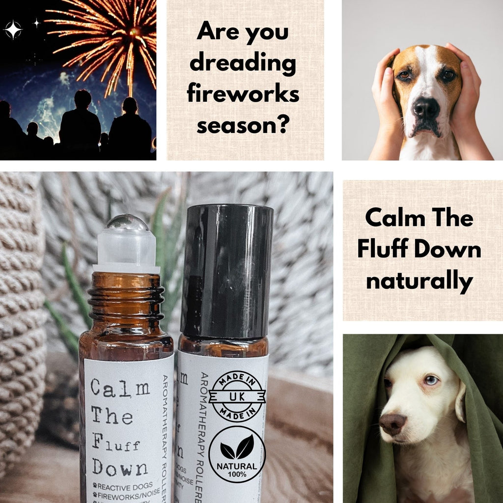 Collage of rollerball bottles, fireworks and dogs with Calm The Fluff Down text