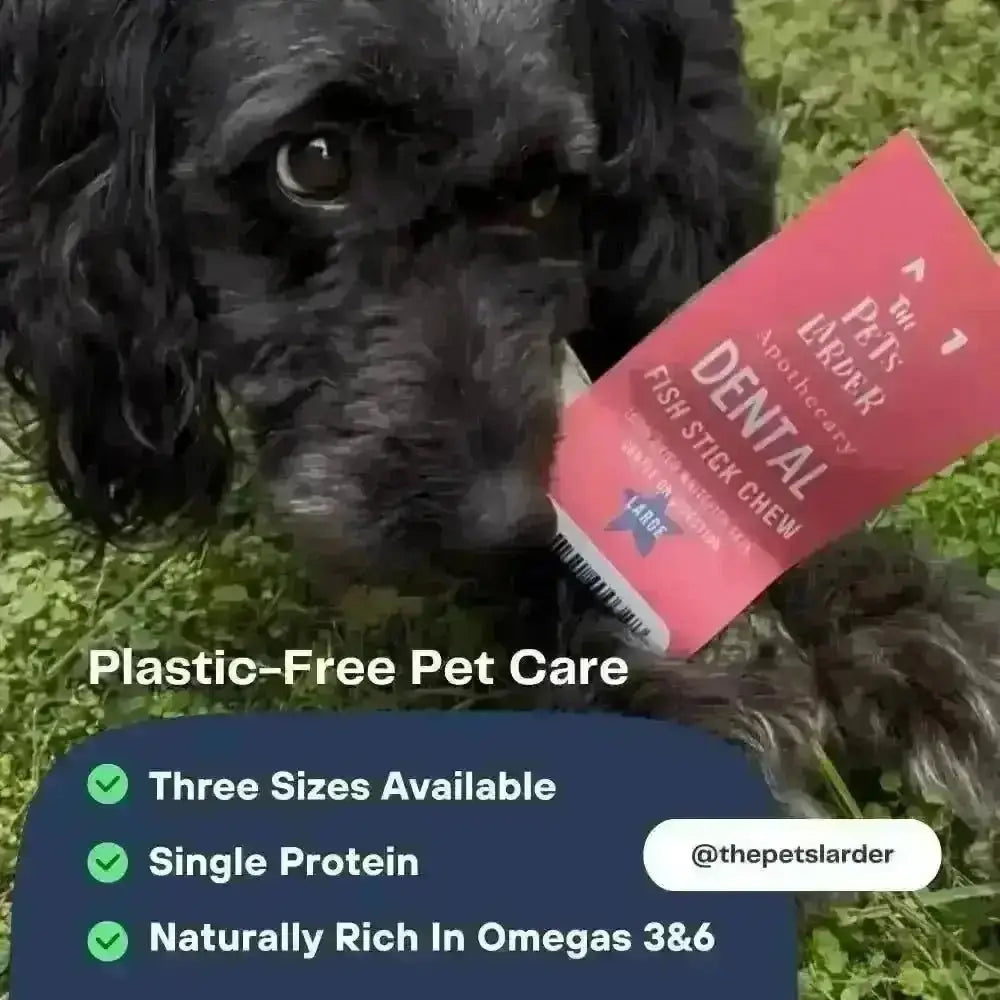 Black curly-coated dog in the grass beside a Pets Larder fish stick chew