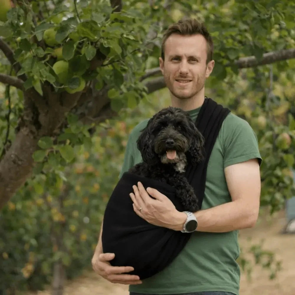 Man outdoors carrying a black poodle cross in a black Plain Fleece Dog Sling