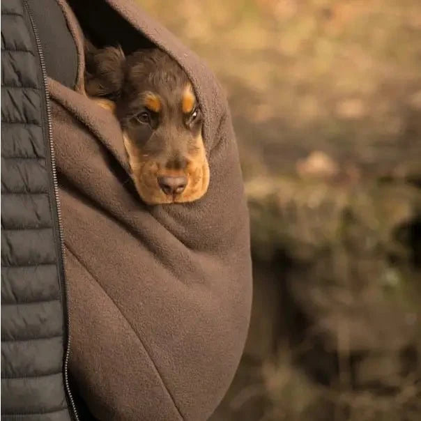 Close-up of a dachshund puppy peeping out of a latte brown Plain Fleece Dog Sling