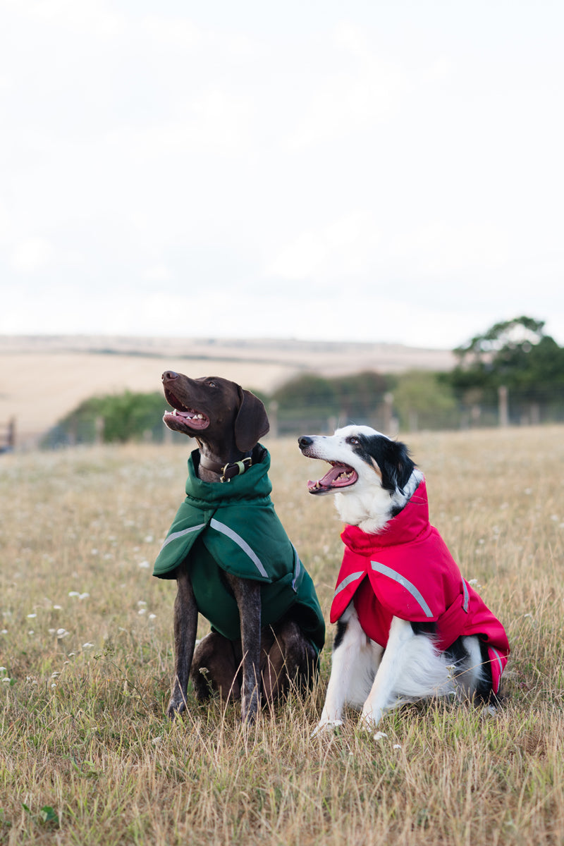 Luxe Waterproof Winter Dog Coat – Warm Padded Jacket, Hunter Green