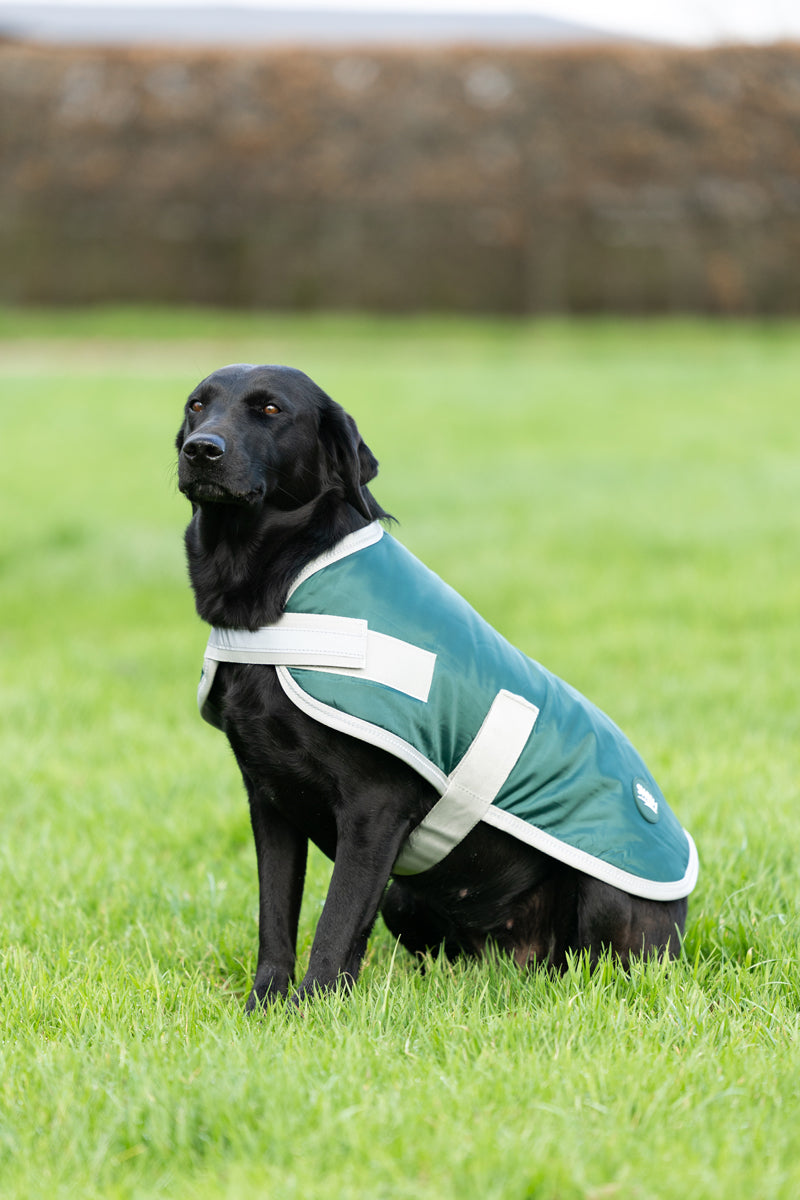 Classic Waterproof Dog Coat with Reflective Strips – Hunter Green