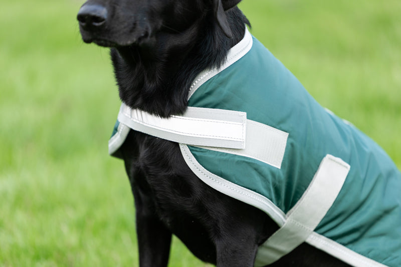 Classic Waterproof Dog Coat with Reflective Strips – Hunter Green