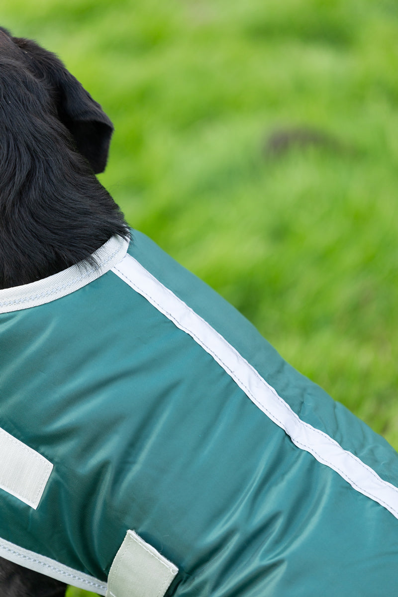 Classic Waterproof Dog Coat with Reflective Strips – Hunter Green