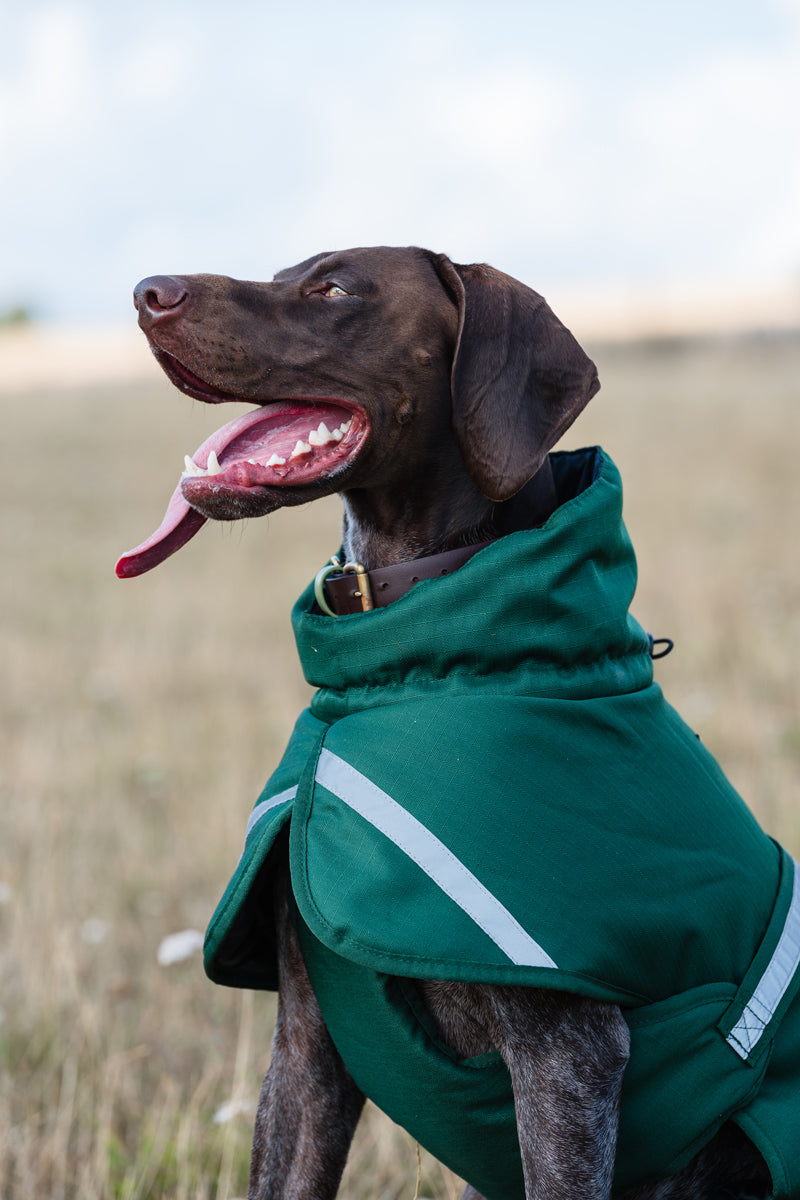Luxe Waterproof Winter Dog Coat – Warm Padded Jacket, Hunter Green