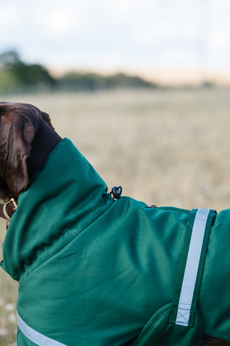Luxe Waterproof Winter Dog Coat – Warm Padded Jacket, Hunter Green