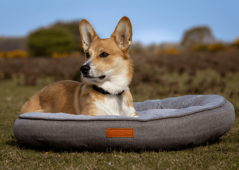 Balmoral Calming Donut Dog Bed – Herringbone & Faux Fur