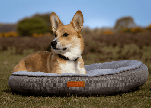 Balmoral Calming Donut Dog Bed – Herringbone & Faux Fur