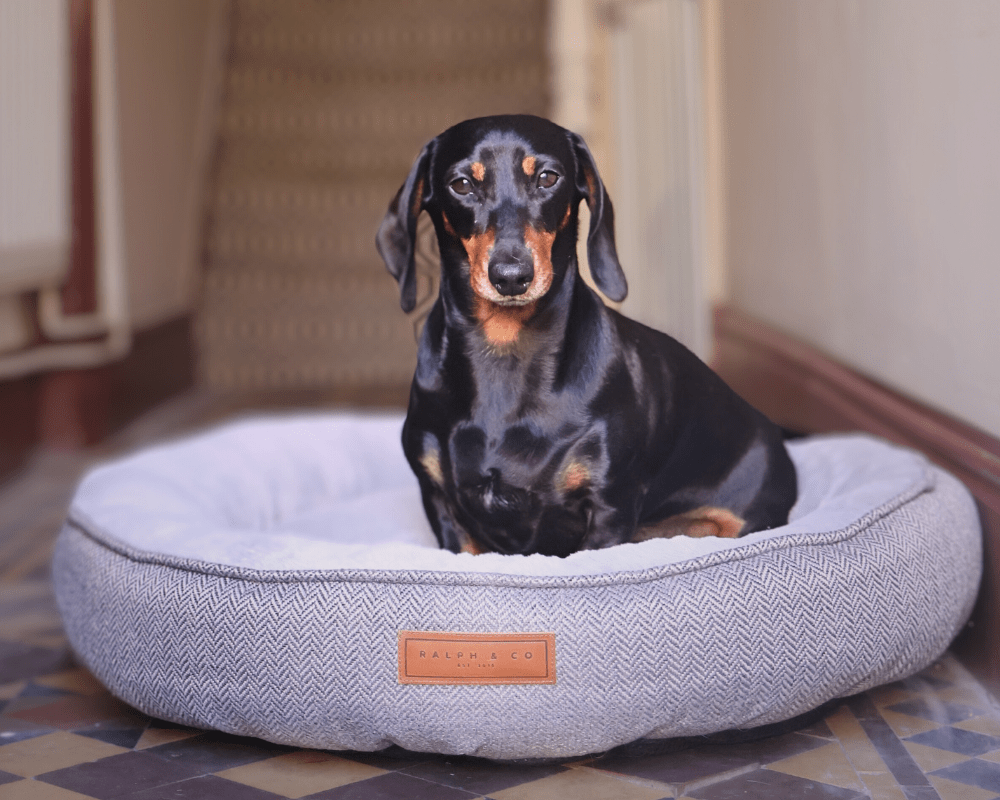 Balmoral Calming Donut Dog Bed – Herringbone & Faux Fur