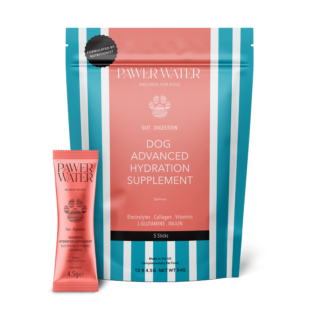 Pawer Water Gut Hydration Sticks: coral and blue striped pouch with a single stick