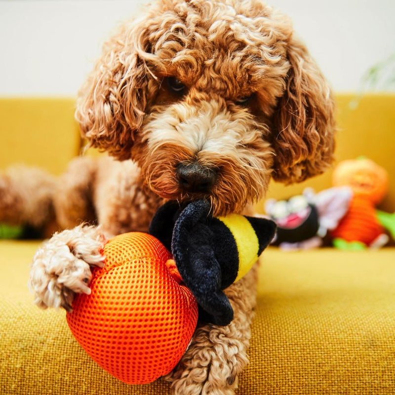 Pumpkin head plush dog toy