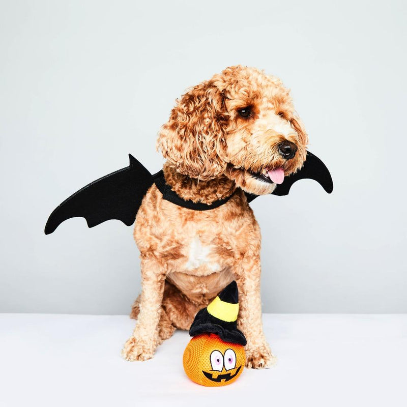 Halloween plush toy for dogs