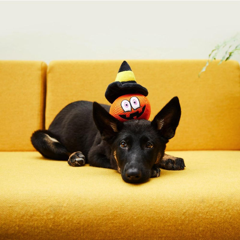 Halloween pumpkin head squeaky dog toy