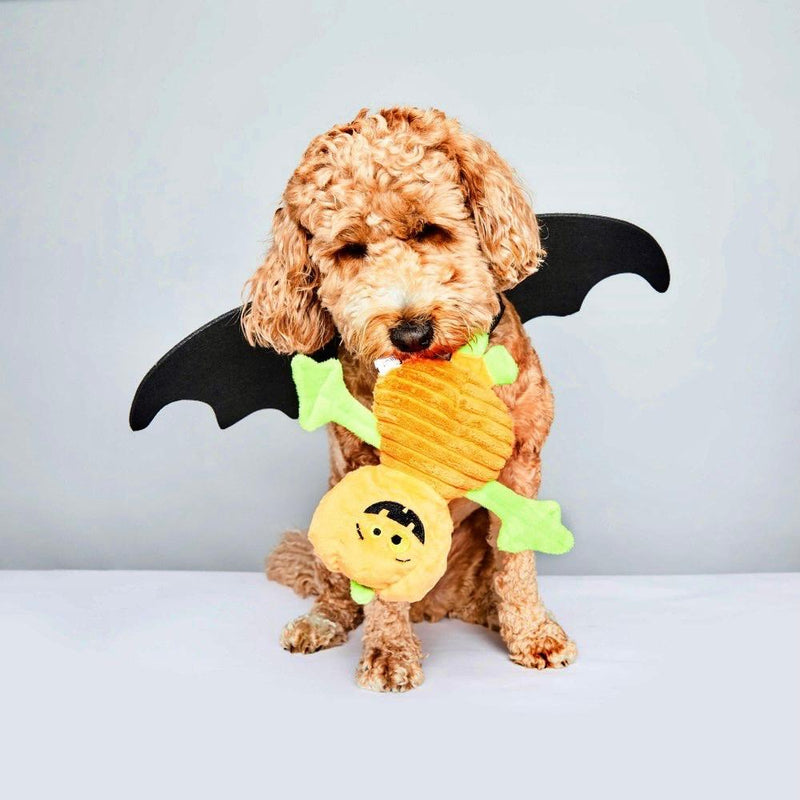 Apricot doodle wearing bat wings carrying the Halloween pumpkin plush toy in its mouth