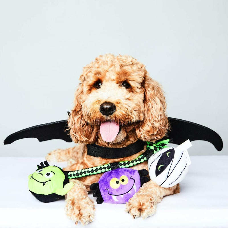 Apricot doodle in bat wings with the green Halloween rope tug toy: monster, purple spider and mummy