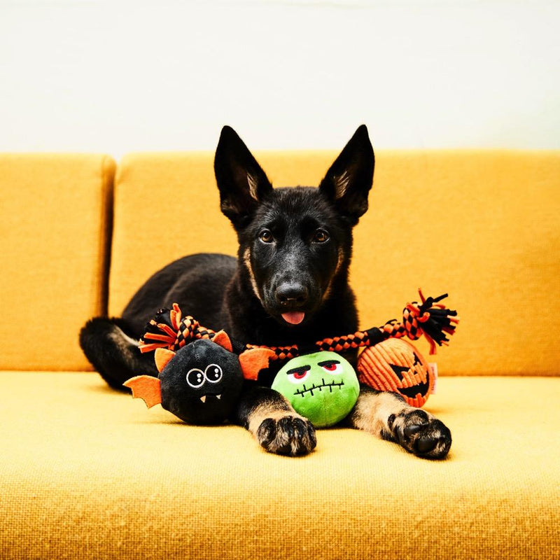 Black German Shepherd puppy on a yellow sofa with the orange Halloween rope tug toy: bat, monster and pumpkin