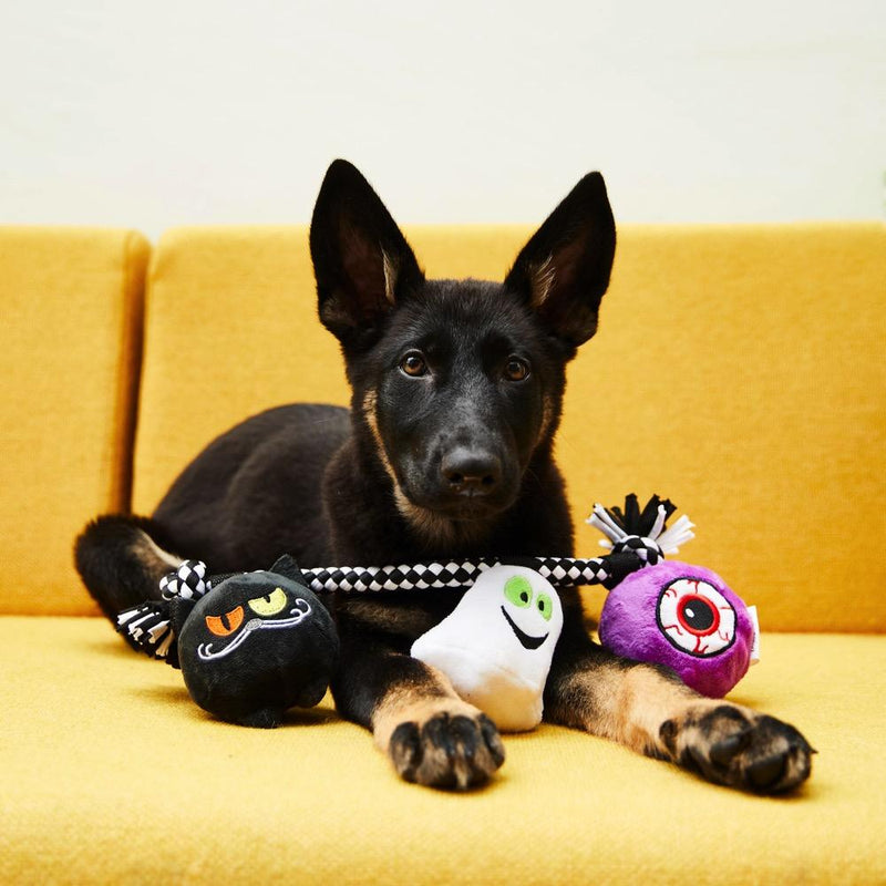 Black German Shepherd puppy on a yellow sofa with the white Halloween tug toy: black cat, ghost and eyeball